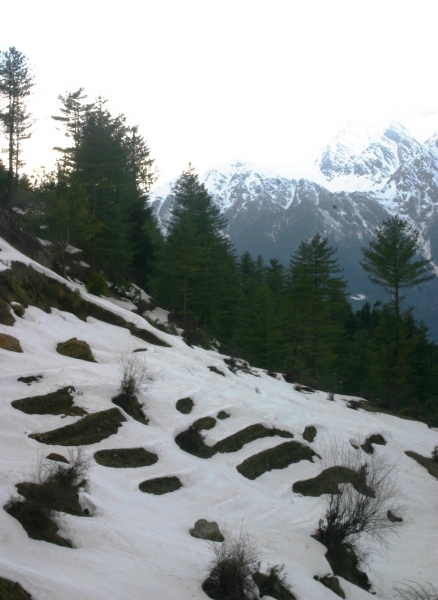 Noord West India (103)