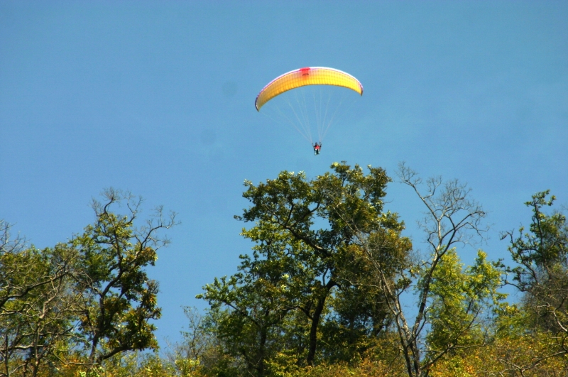 Noord West India (114)