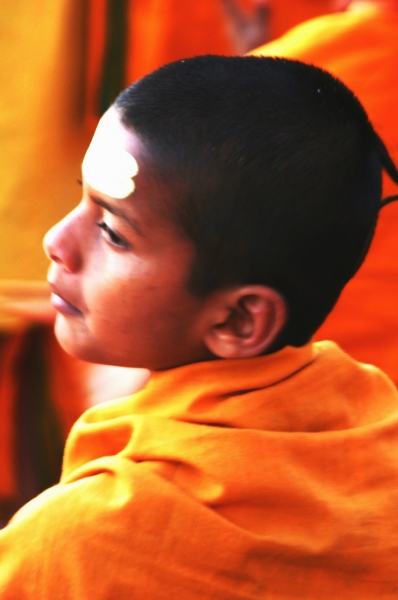 Noord West India (19)