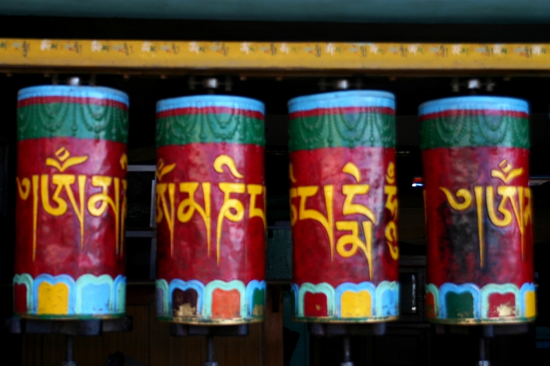 Noord West India (3)