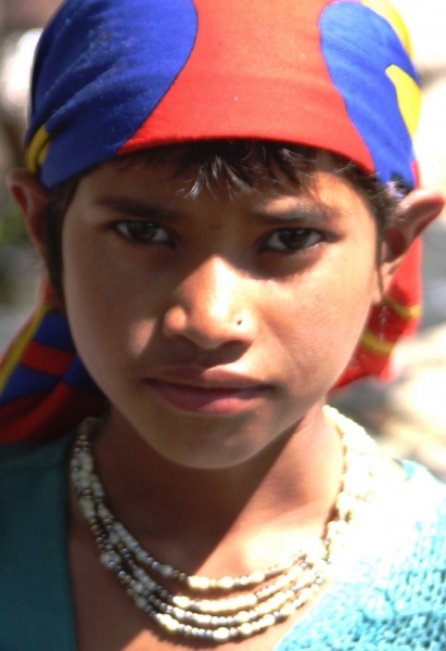 Noord West India (63)