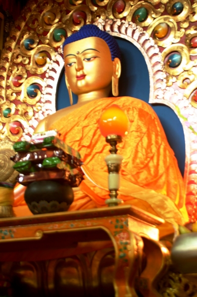 Noord West India (77)