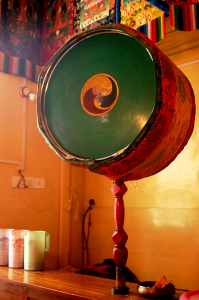 Noord West India (9)