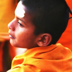 Noord West India (19)