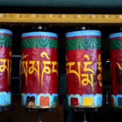 Noord West India (3)