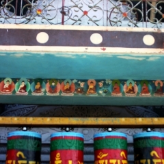 Noord West India (4)