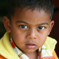 Noord West India (42)