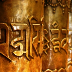 Noord West India (6)