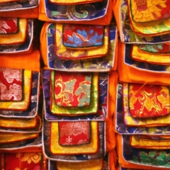 Noord West India (7)