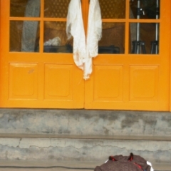 Noord West India (82)