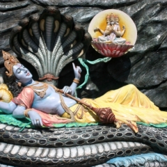 Noord West India (86)
