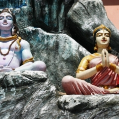 Noord West India (87)