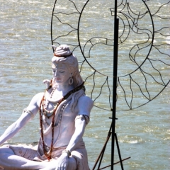 Noord West India (88)