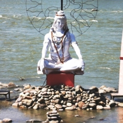 Noord West India (92)