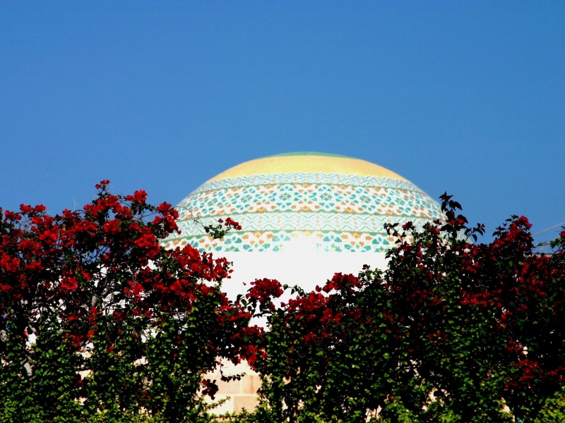 Oman (55)