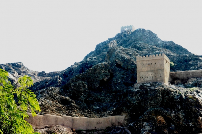 Oman (72)