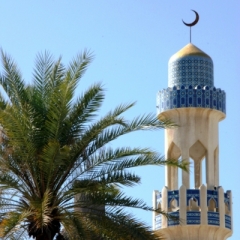 Oman (49)