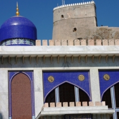Oman (56)