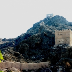 Oman (72)
