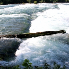 Oost Canada (21)