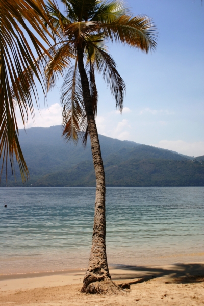 Oost Venezuela (62)