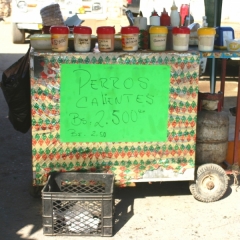 Oost Venezuela (28)