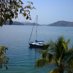 Oost Venezuela (52)