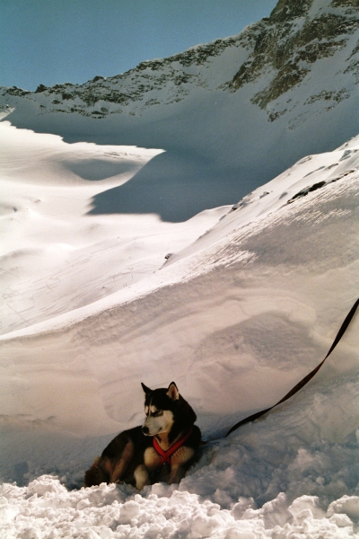 Austria - Snow (5)