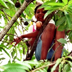 Panama (23)