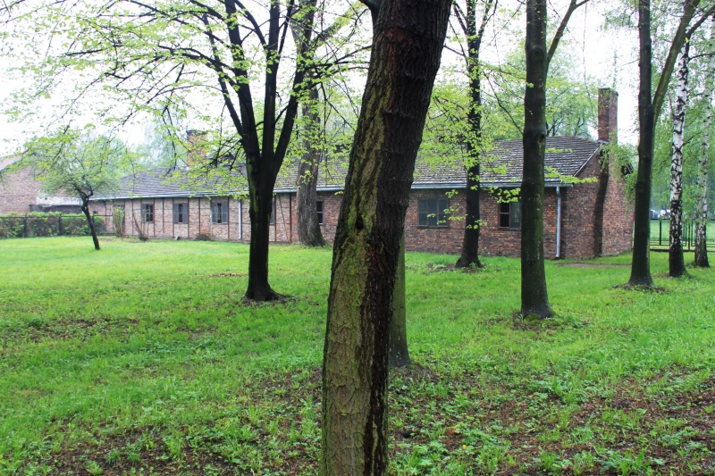 Poland - Auschwitz (1)