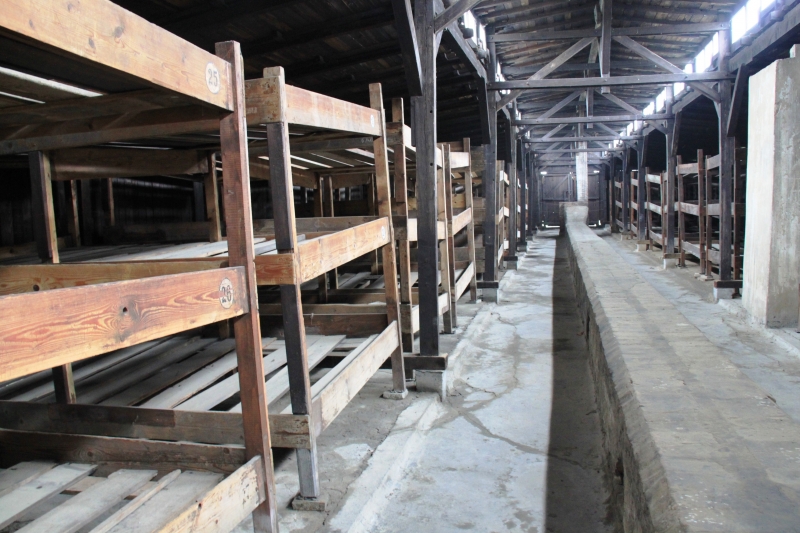 Poland - Auschwitz (19)