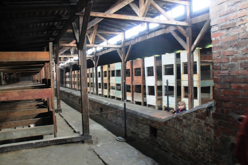 Poland - Auschwitz (28)