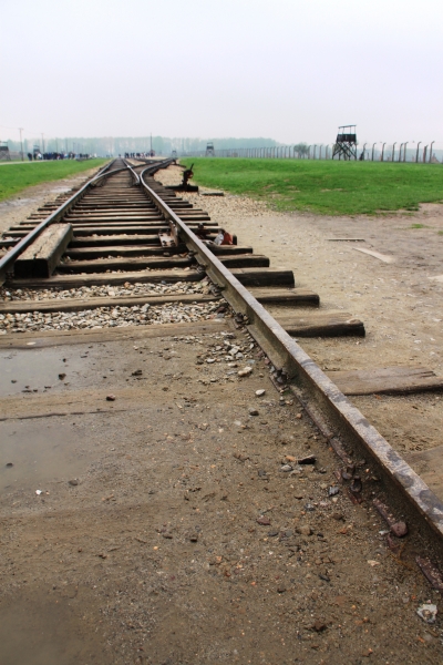 Poland - Auschwitz (3)