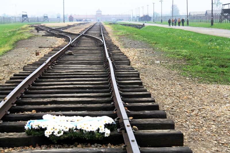 Poland - Auschwitz (63)