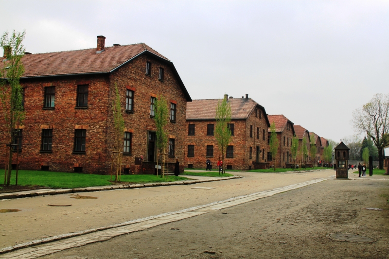 Poland - Auschwitz (76)