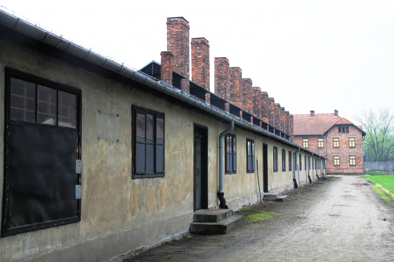 Poland - Auschwitz (80)
