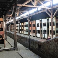 Poland - Auschwitz (28)