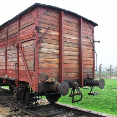 Poland - Auschwitz (41)