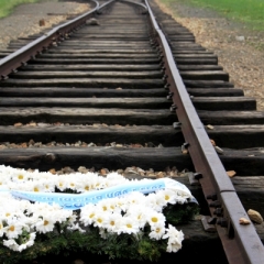 Poland - Auschwitz (64)