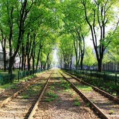 Poland - Krakow (5)