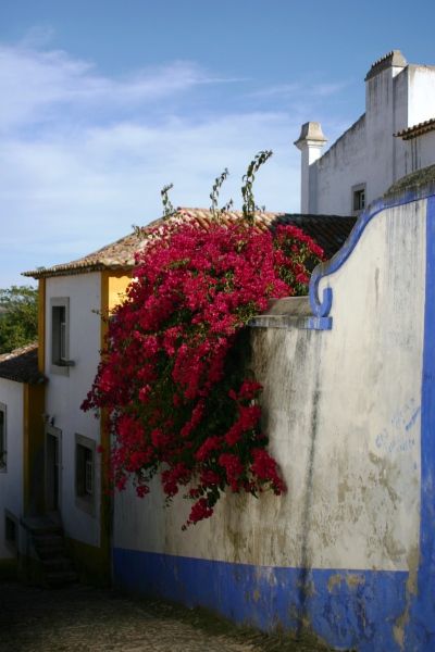 Portugal-100