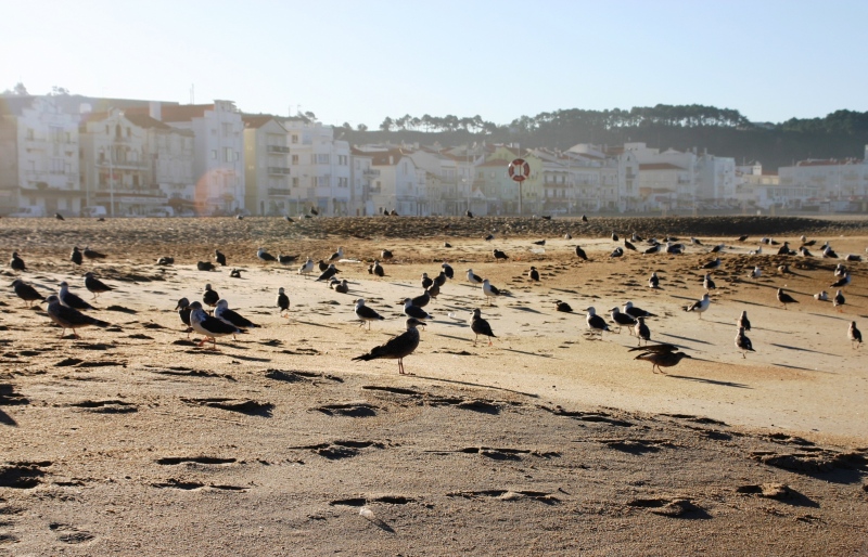 Portugal-235