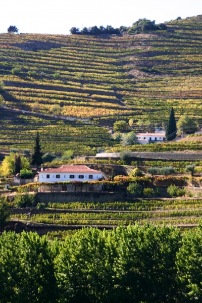 Portugal-306