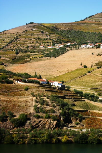 Portugal-311