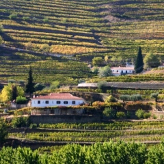 Portugal-306
