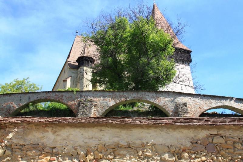 Roemenië (180)