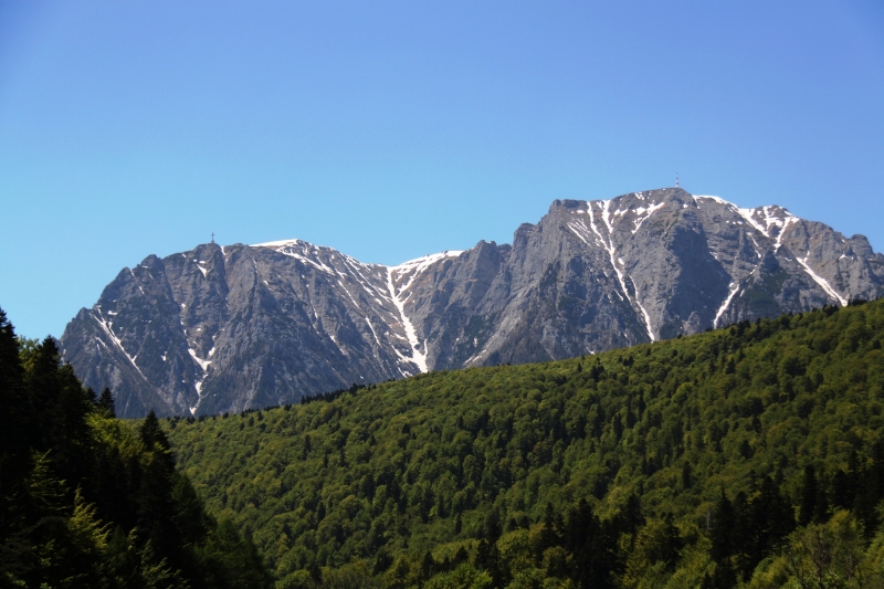 Roemenië (195)