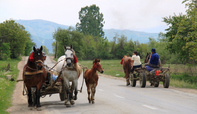 Roemenië (35)