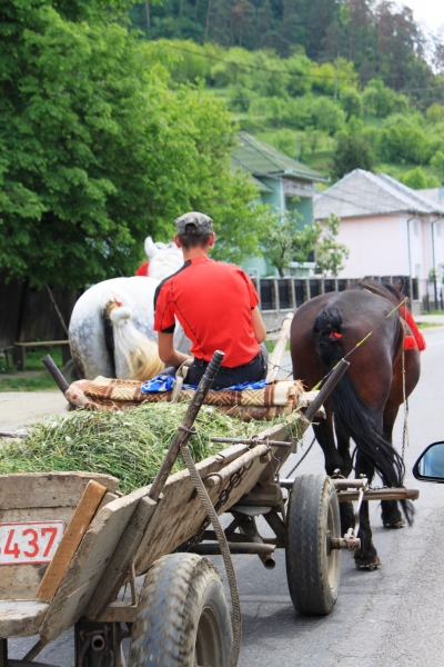 Roemenië (50)