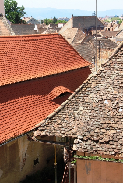 Roemenië (91)